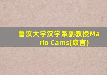 鲁汶大学汉学系副教授Mario Cams(康言)